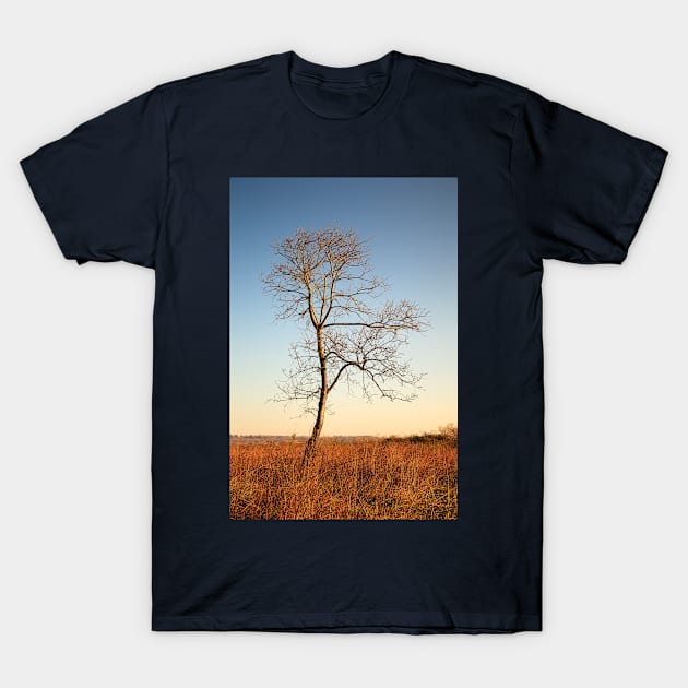 Lone Tree Silhouette T-Shirt by mcdonojj